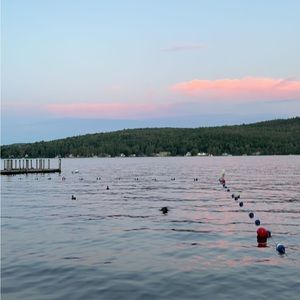 Meet your Posher, Alison